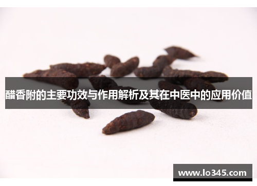醋香附的主要功效与作用解析及其在中医中的应用价值